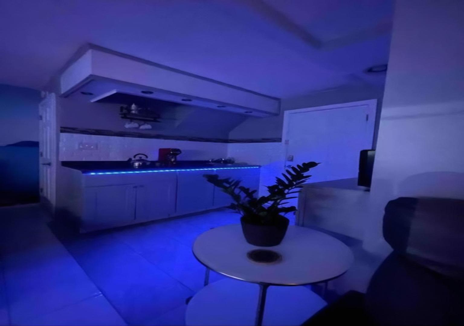 Brooklyn Spacious Space With Private Entrance, Bathroom, & Backyard - Full-Kitchen 纽约 外观 照片