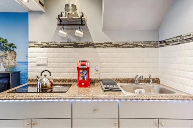 Brooklyn Spacious Space With Private Entrance, Bathroom, & Backyard - Full-Kitchen 纽约 外观 照片